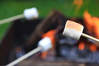 Delicious puffy marshmallows roasting over bonfire, closeup. Space for text