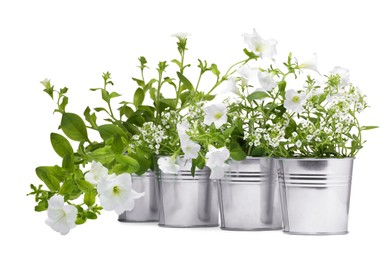 Photo of Different flowers in metal pots isolated on white