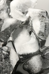 Photo of Pieces of crushed ice on mirror surface, closeup
