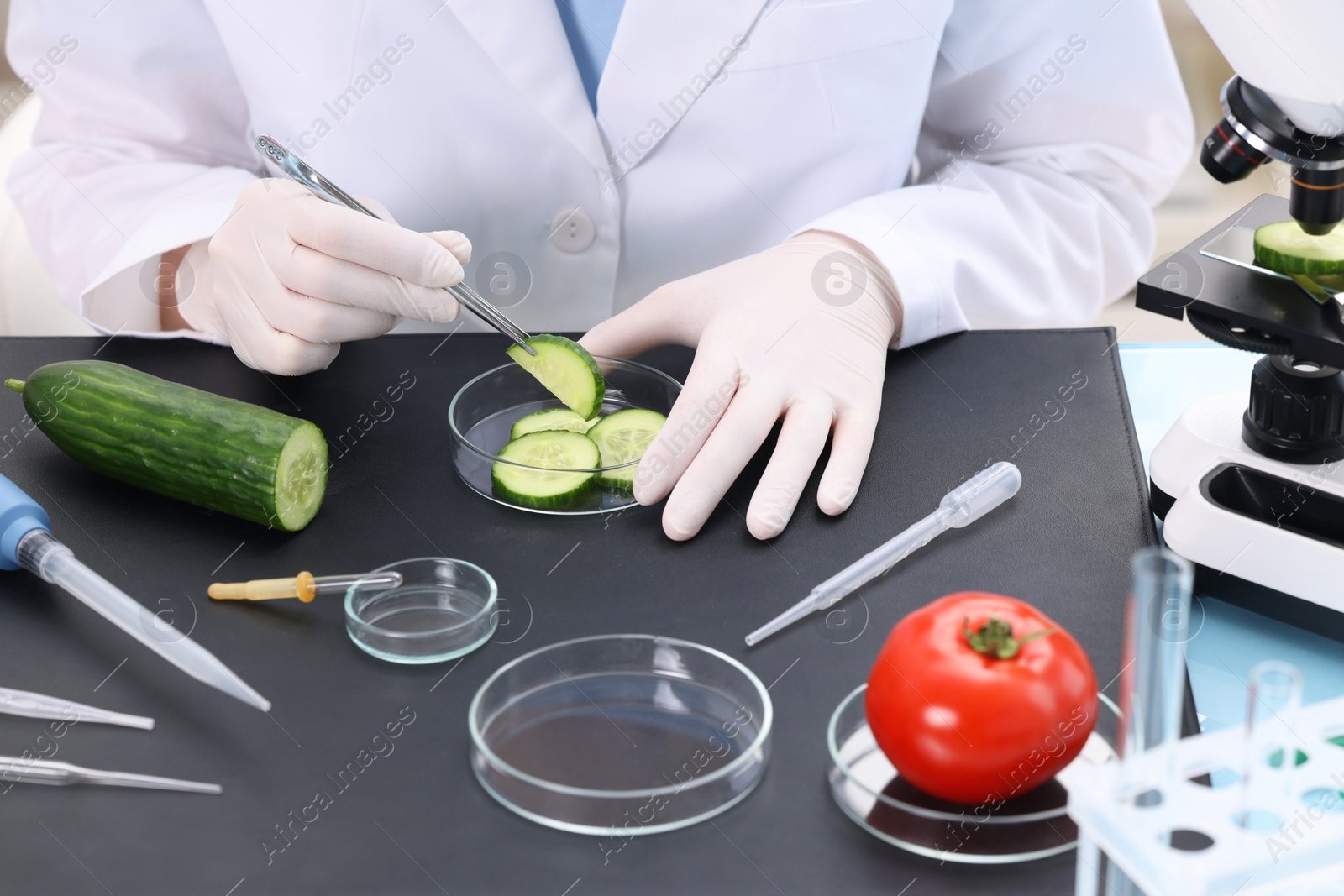 Photo of Quality control. Food inspector examining cucumber in laboratory, closeup