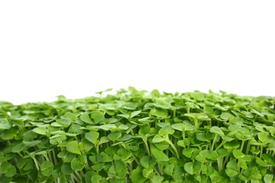 Photo of Fresh organic microgreen on white background, closeup