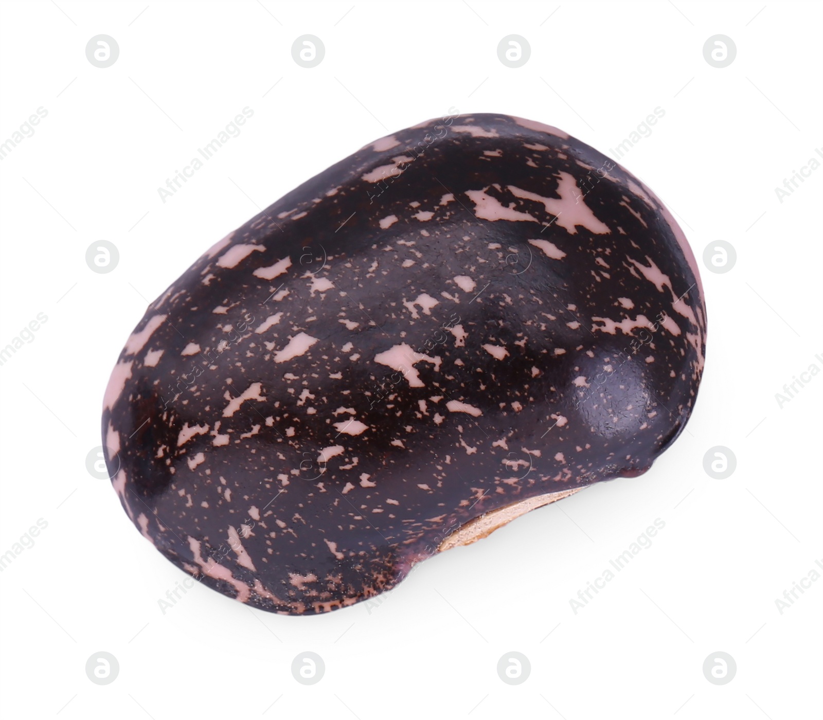 Photo of Dry kidney bean isolated on white, top view