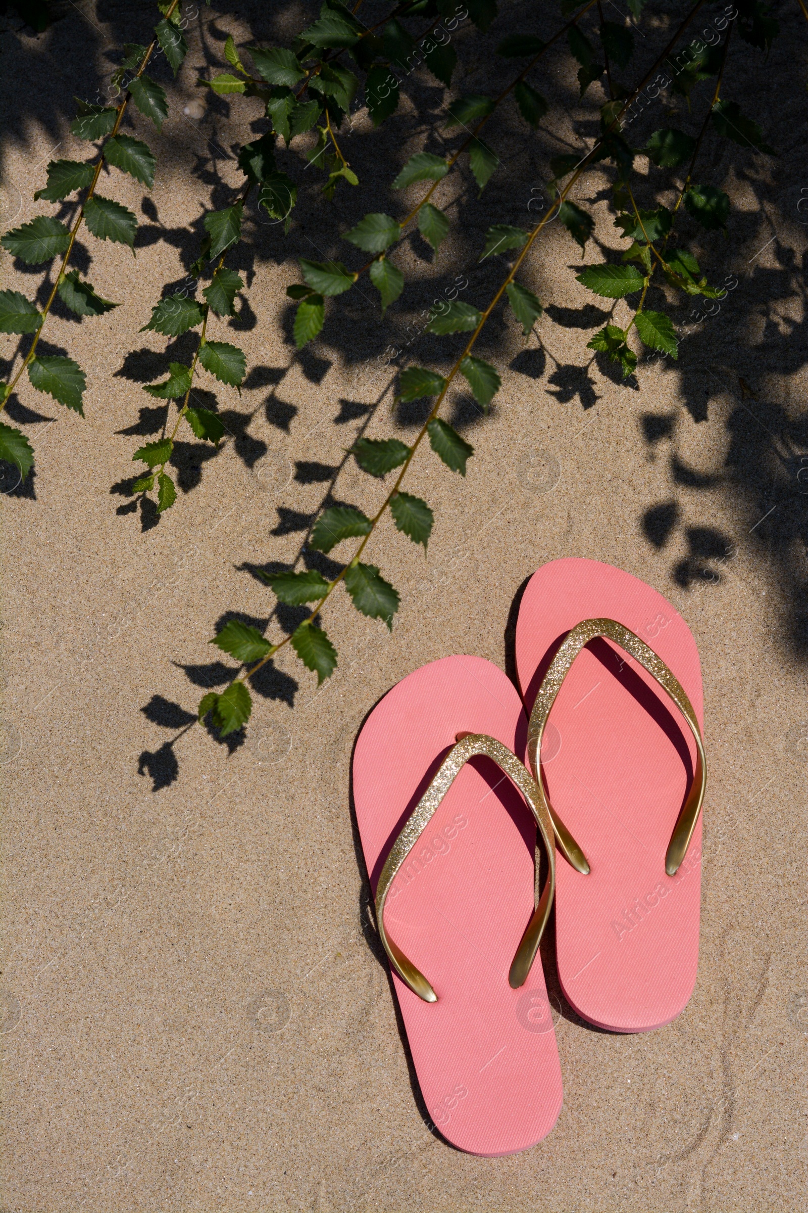 Photo of Stylish pink flip flops near green plant on sandy beach, flat lay