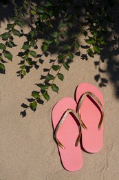 Photo of Stylish pink flip flops near green plant on sandy beach, flat lay