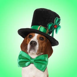 Image of St. Patrick's day celebration. Cute Beagle dog with bow tie and leprechaun hat on green background