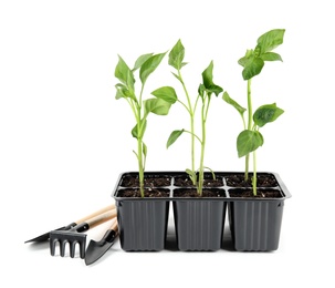 Vegetable seedlings and garden tools isolated on white