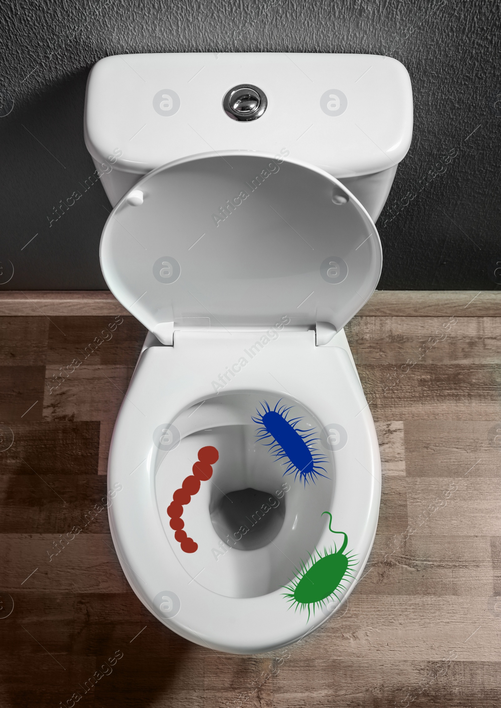 Image of Illustration of microbes on toilet bowl in bathroom, top view 