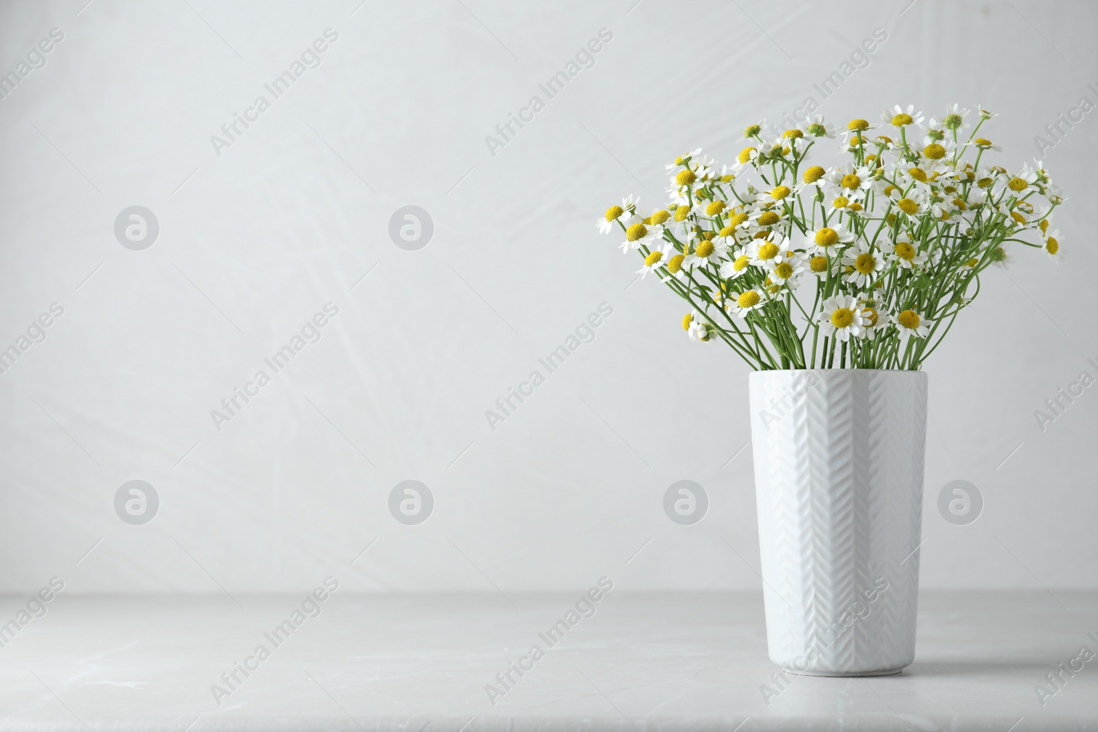 Photo of Vase with beautiful chamomile flowers on light grey table. Space for text