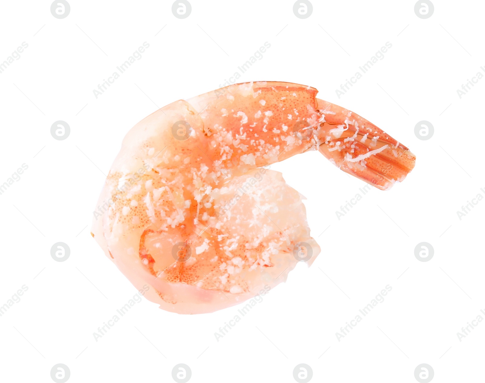 Photo of One tasty boiled shrimp isolated on white