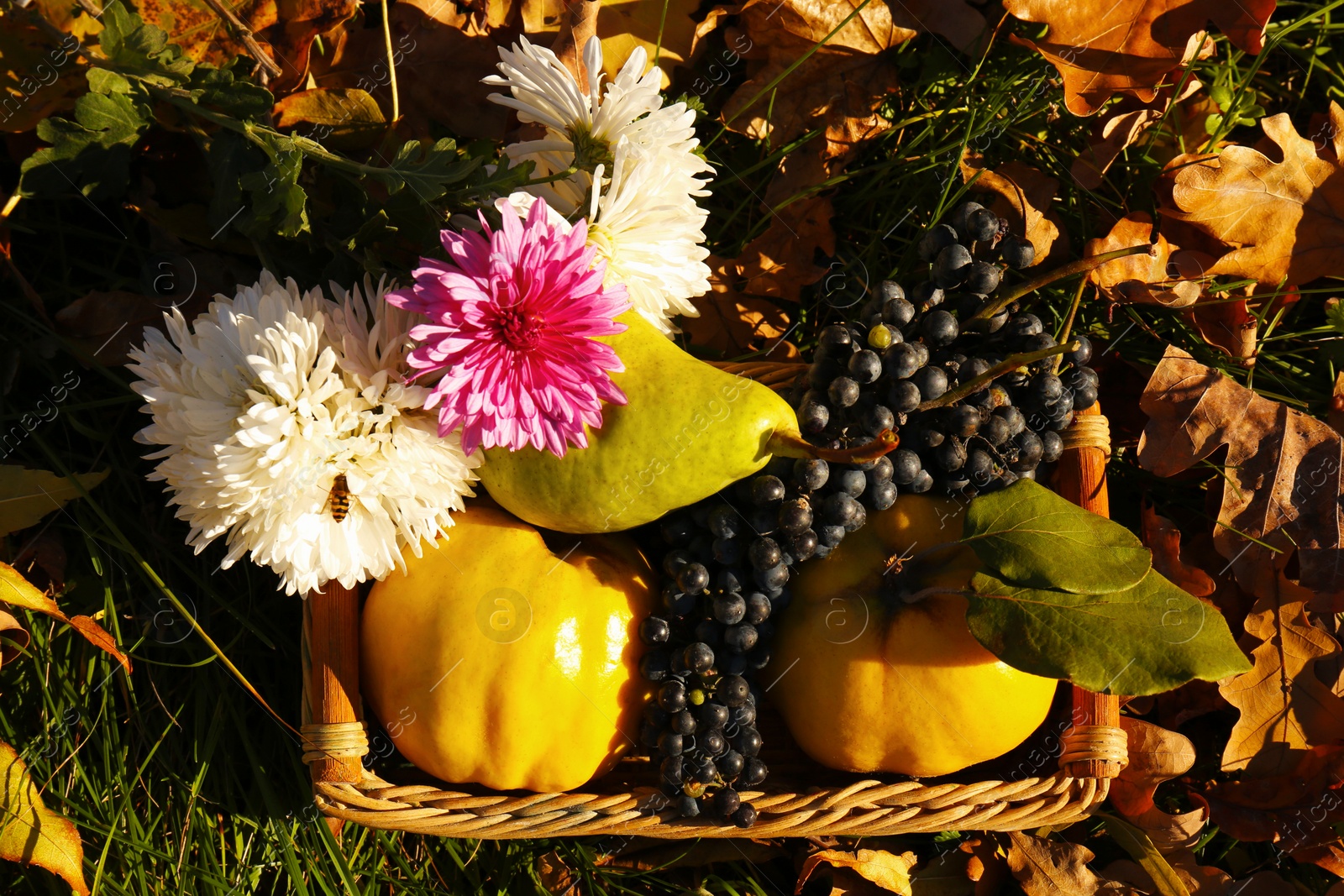 Photo of Fresh fruits and flowers in wicker basket near fallen leaves on green grass, flat lay