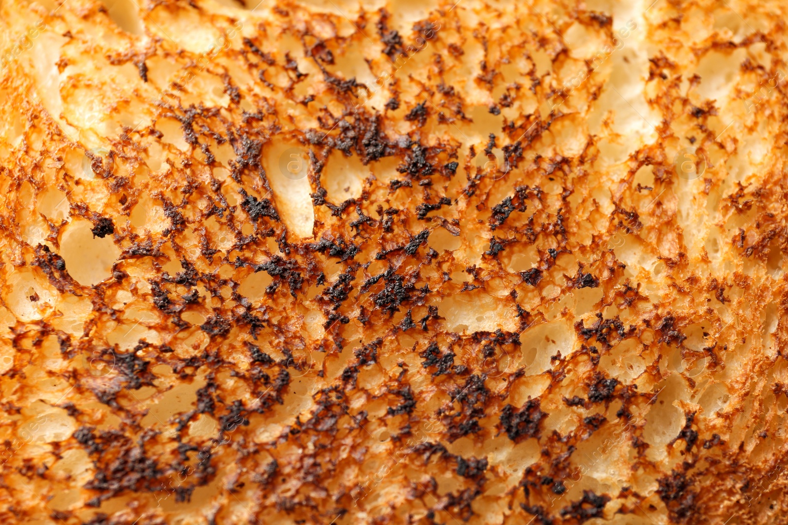 Photo of Toasted bread as background, closeup