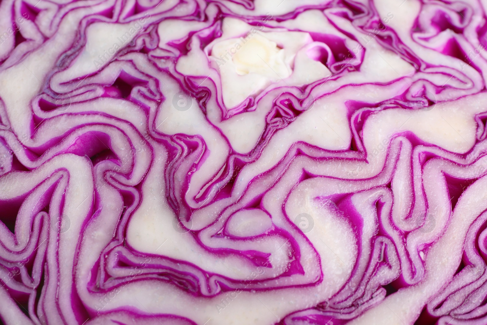 Photo of Cut red cabbage as background, closeup view