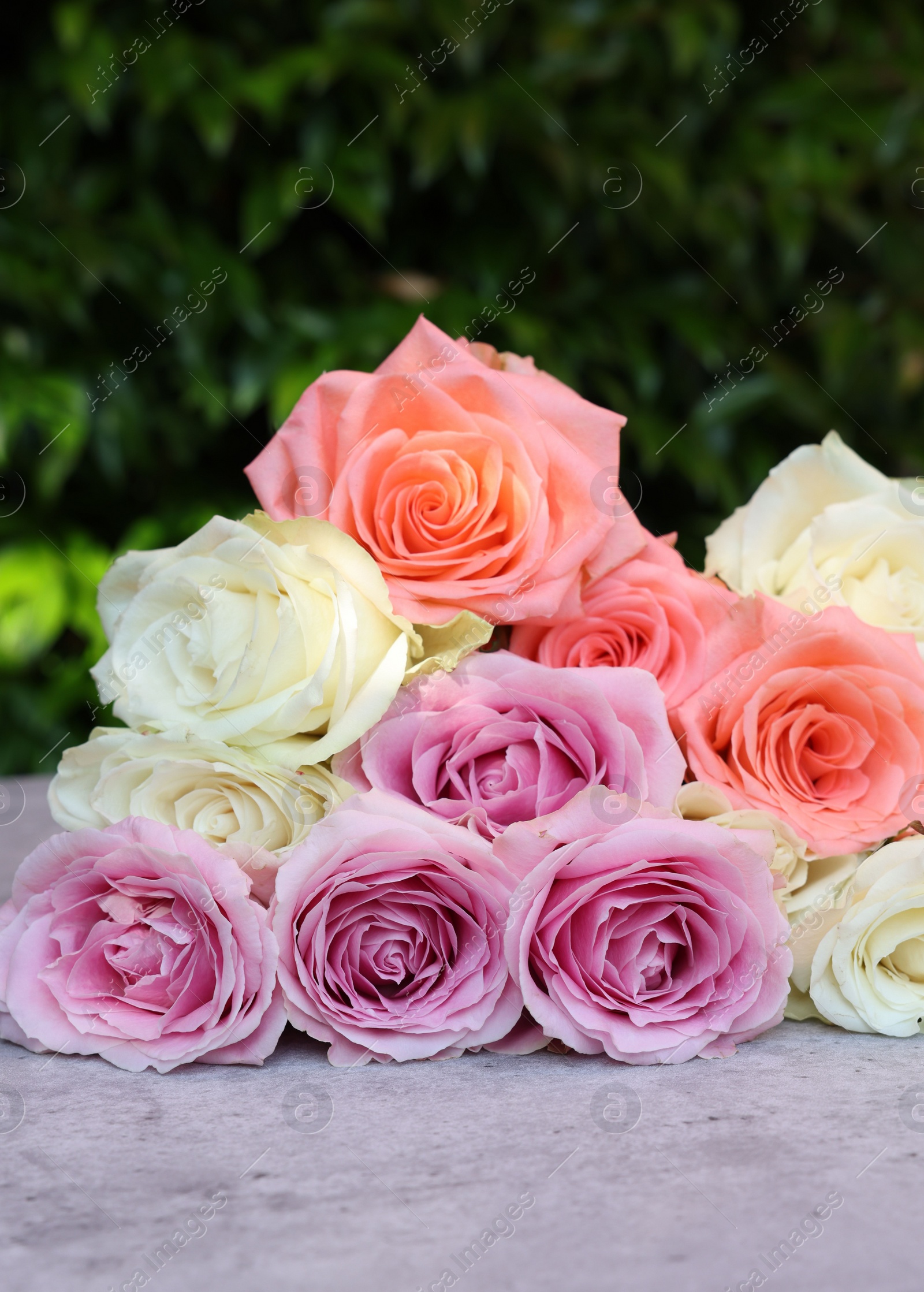 Photo of Beautiful bouquet of roses on light grey table outdoors, closeup