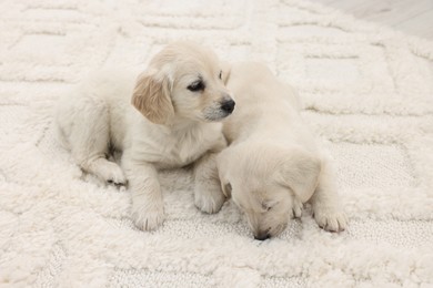 Photo of Cute little puppies lying on white carpet