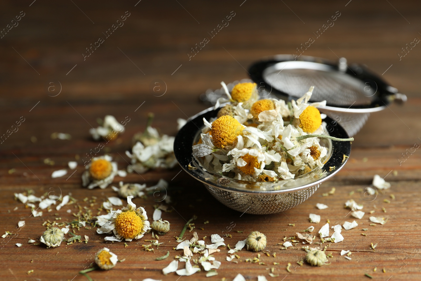 Photo of Dry chamomile flowers in infuser on wooden table, closeup