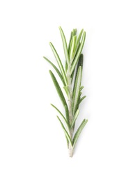 Photo of Fresh green rosemary twig on white background, top view