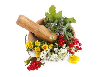 Wooden mortar with different flowers, berries and pestle on white background, top view