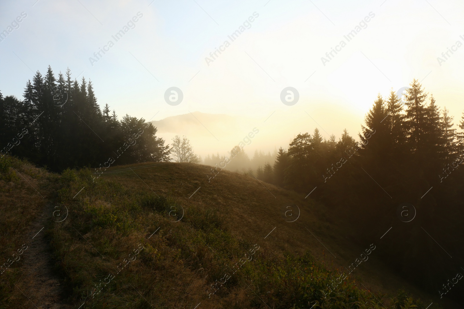 Photo of Picturesque view of mountains covered with fog at sunrise