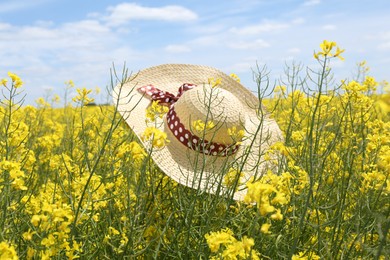 Photo of Women's hat on beautiful blooming rapeseed flowers outdoors