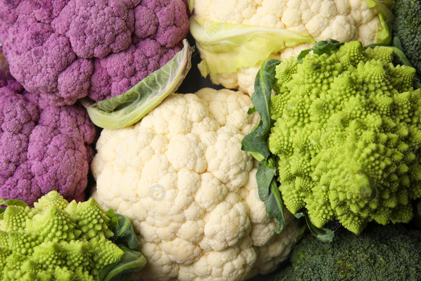 Photo of Different fresh cabbages as background, top view