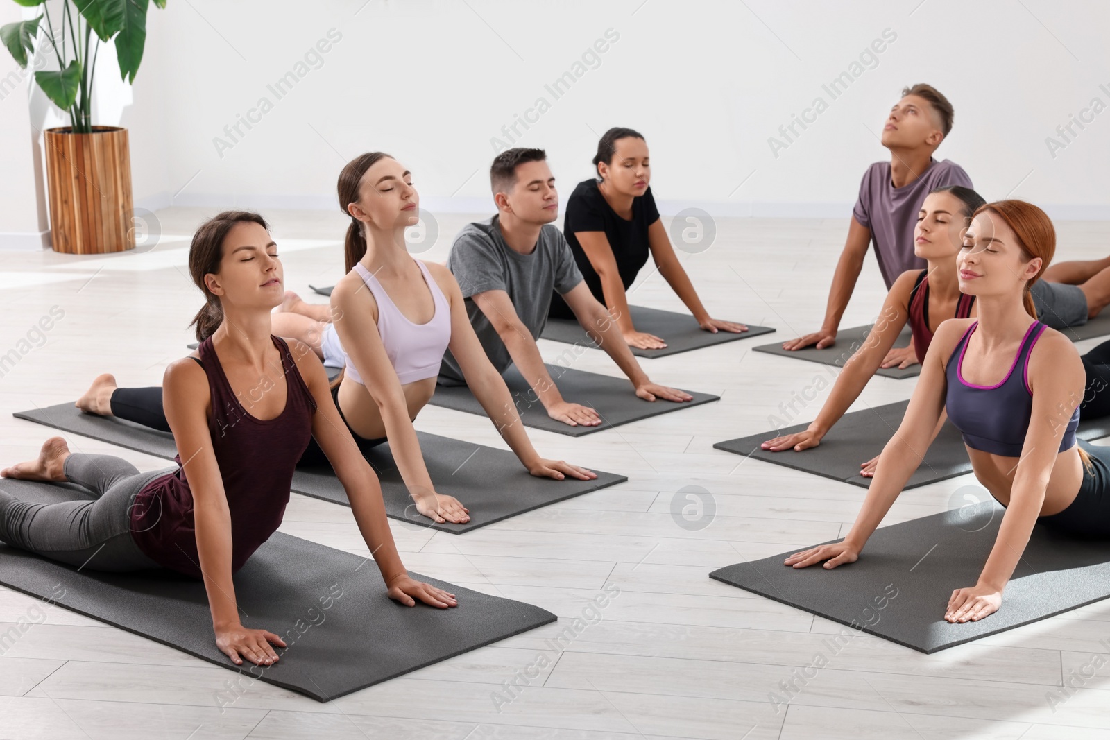 Photo of Group of people practicing yoga on mats indoors