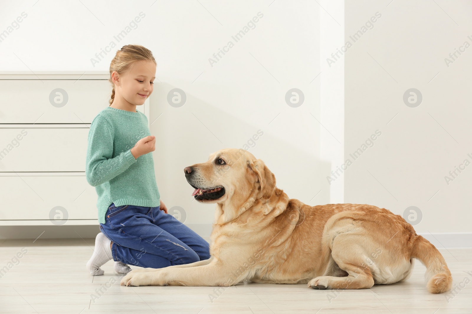 Photo of Cute child with her Labrador Retriever on floor at home. Adorable pet