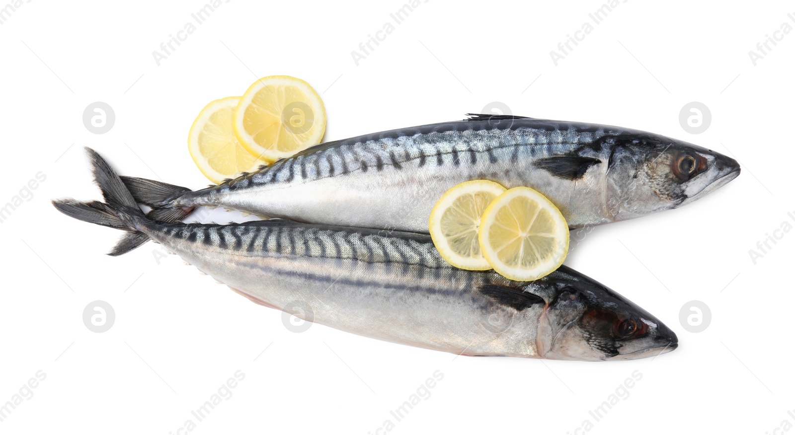 Photo of Raw mackerels and lemons isolated on white, top view