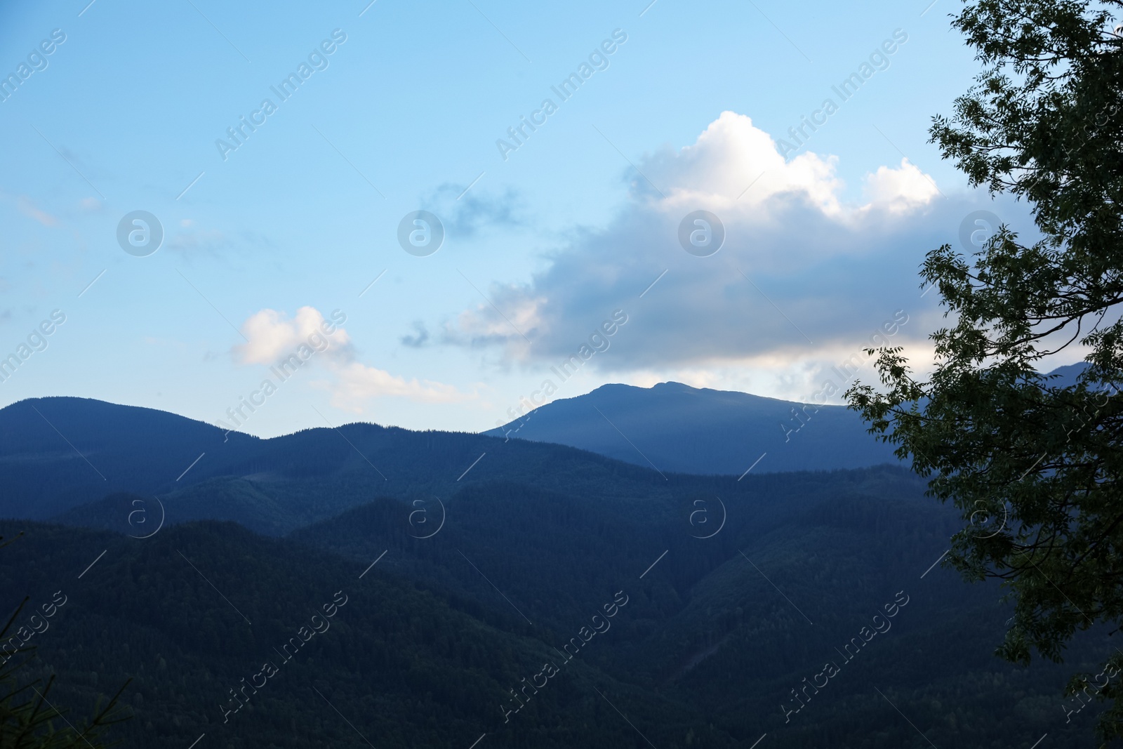 Photo of Beautiful view of mountain landscape with forest in morning