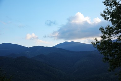 Beautiful view of mountain landscape with forest in morning