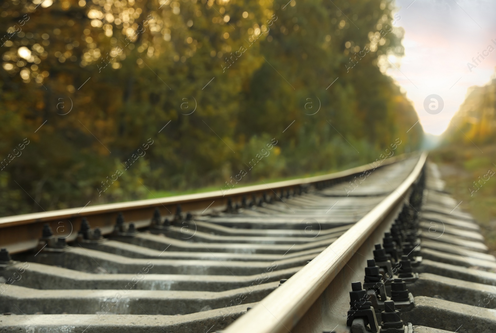 Photo of Picturesque view of railway near green autumn forest, closeup