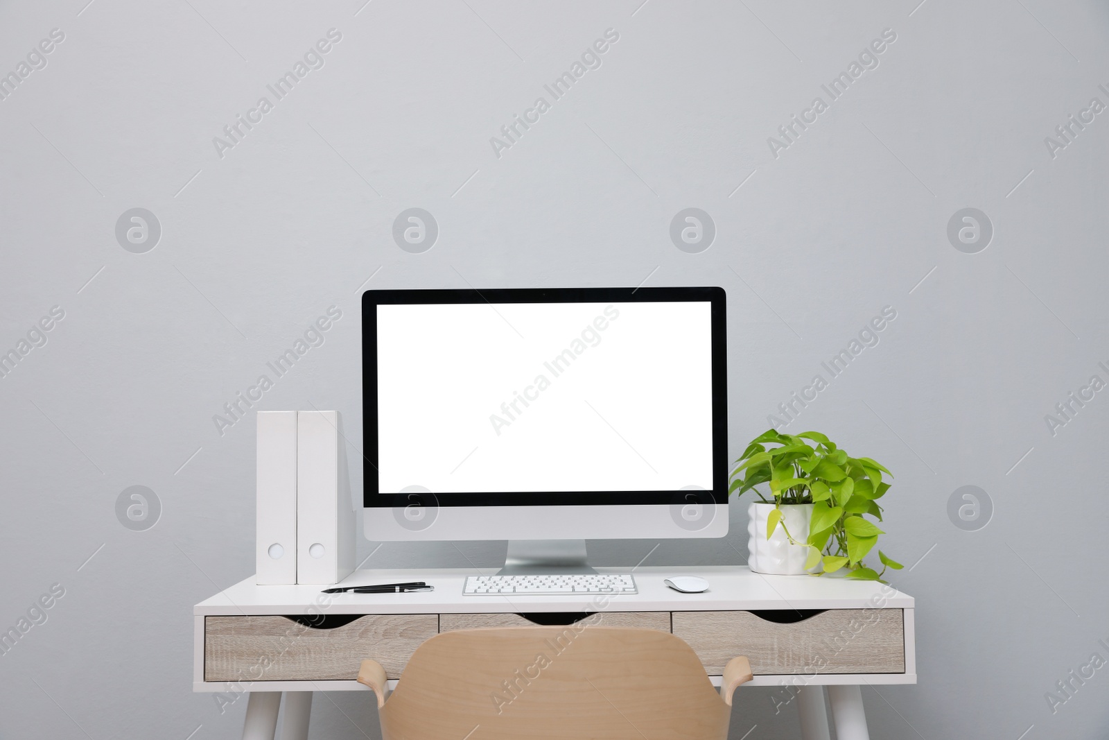 Photo of Comfortable workplace with blank computer display and plant on desk near light grey wall. Space for text