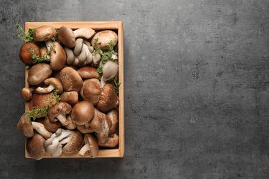 Different wild mushrooms in wooden crate on grey background, top view. Space for text