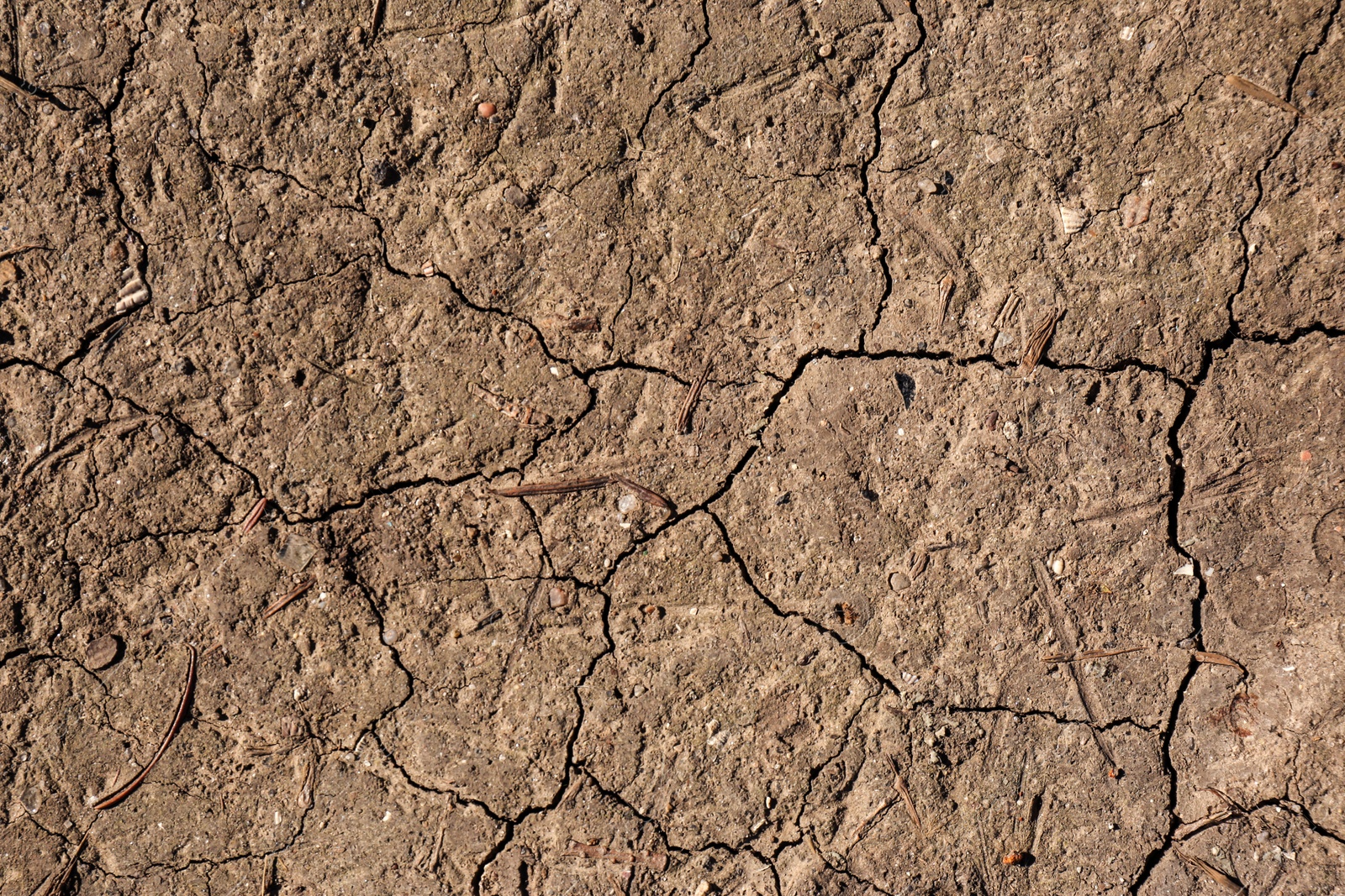 Photo of Cracked ground surface as background, top view. Thirsty soil