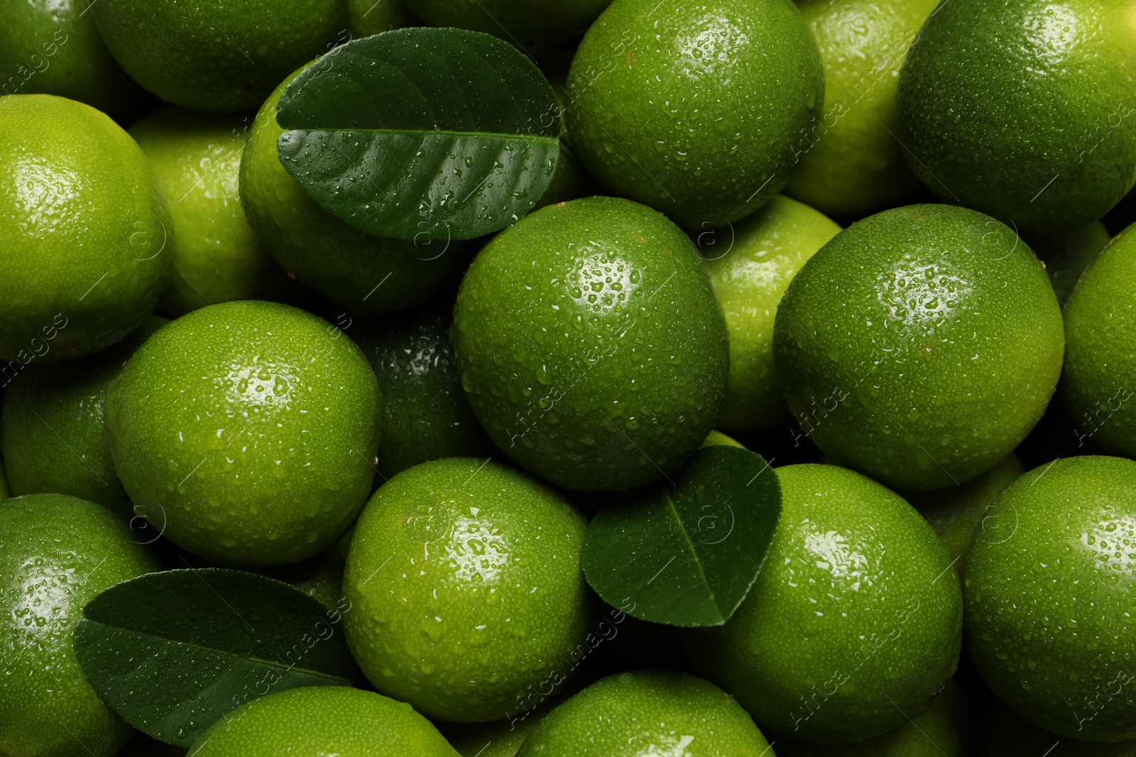 Photo of Fresh ripe limes and leaves with water drops as background, top view