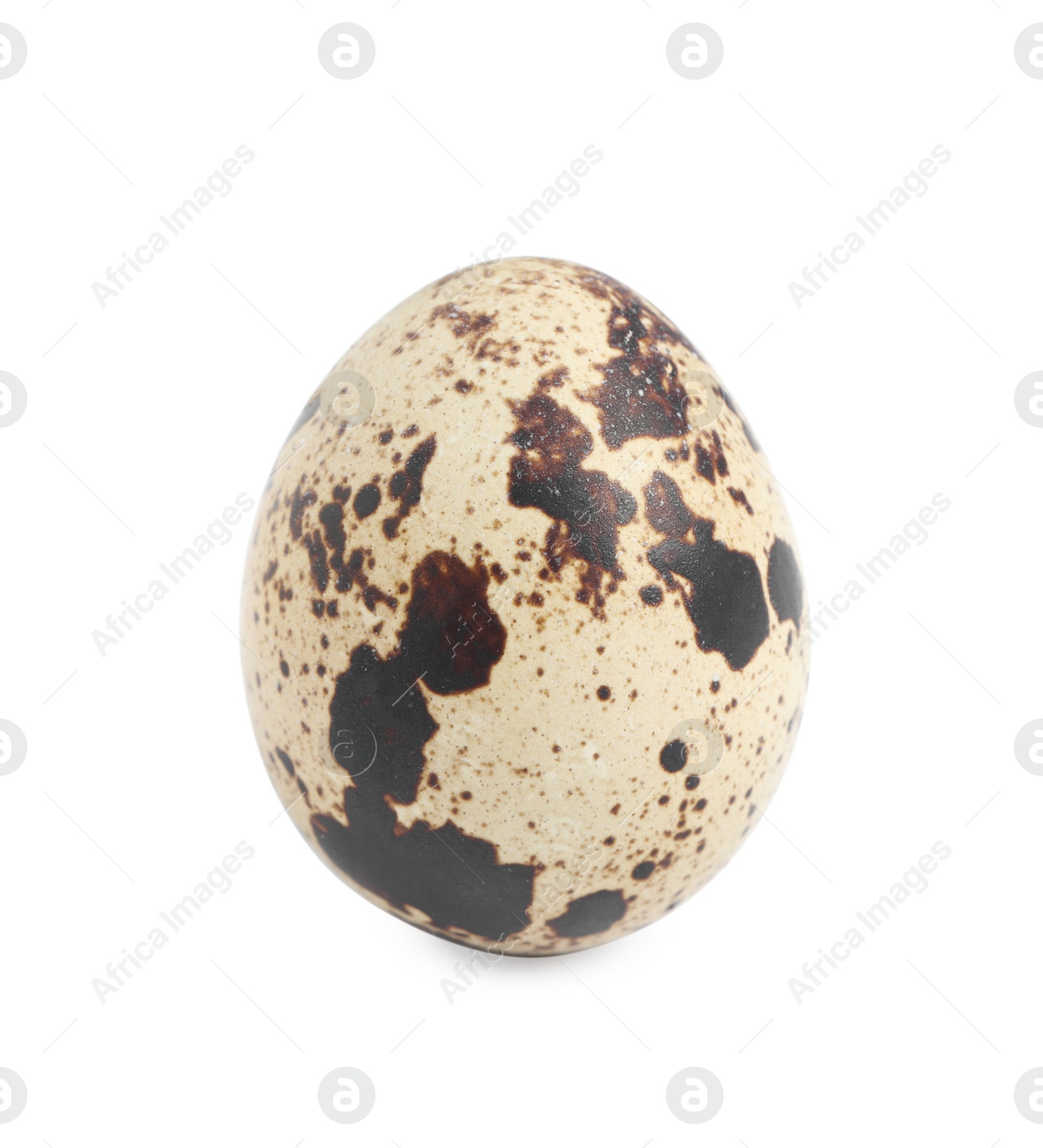 Photo of One beautiful quail egg isolated on white