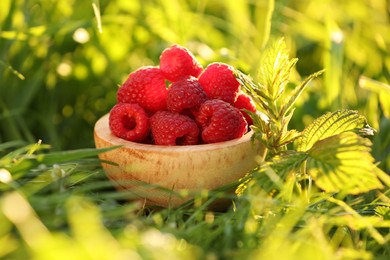 Tasty ripe raspberries in bowl on green grass outdoors, closeup