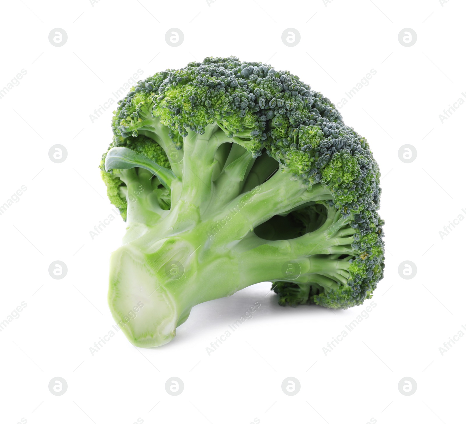 Photo of Fresh green broccoli on white background. Organic food