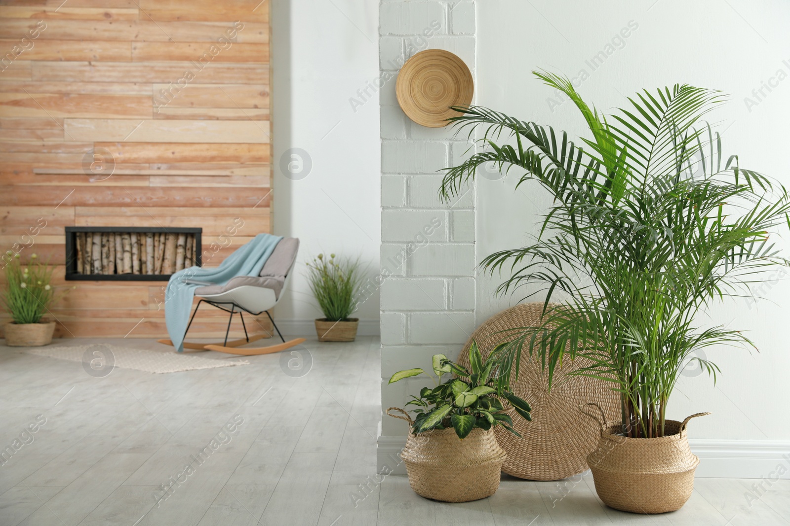 Photo of Houseplants in wicker pots on floor indoors. Interior design