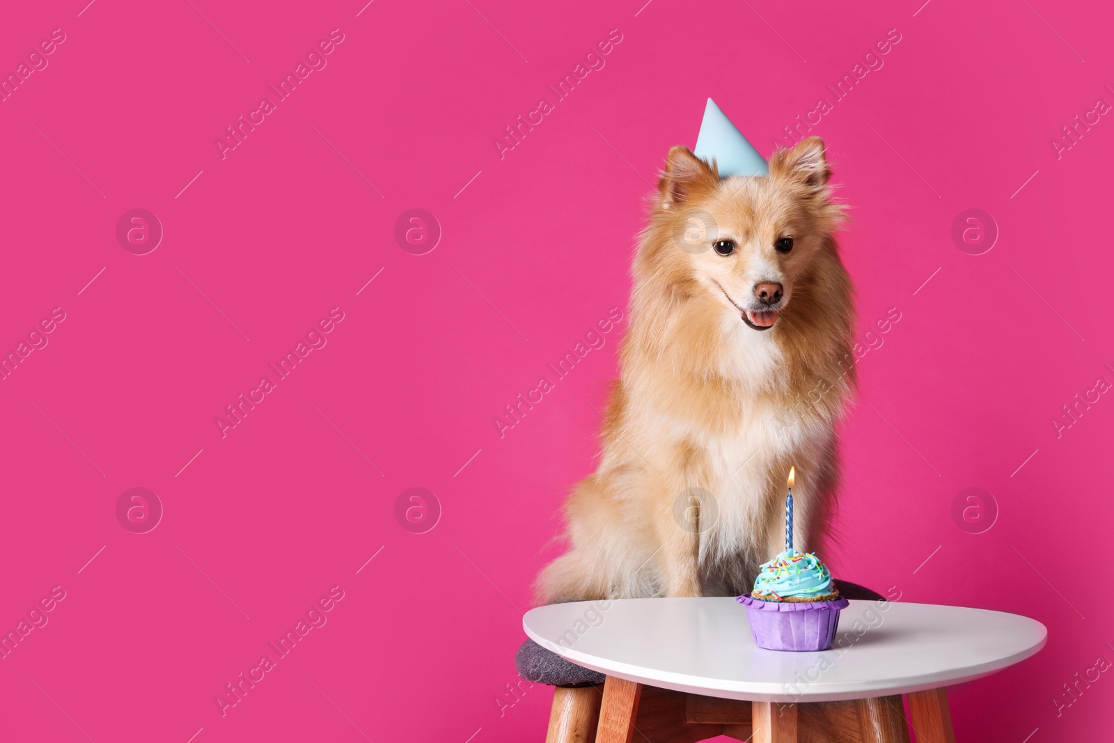 Photo of Cute dog wearing party hat at table with delicious birthday cupcake on pink background. Space for text