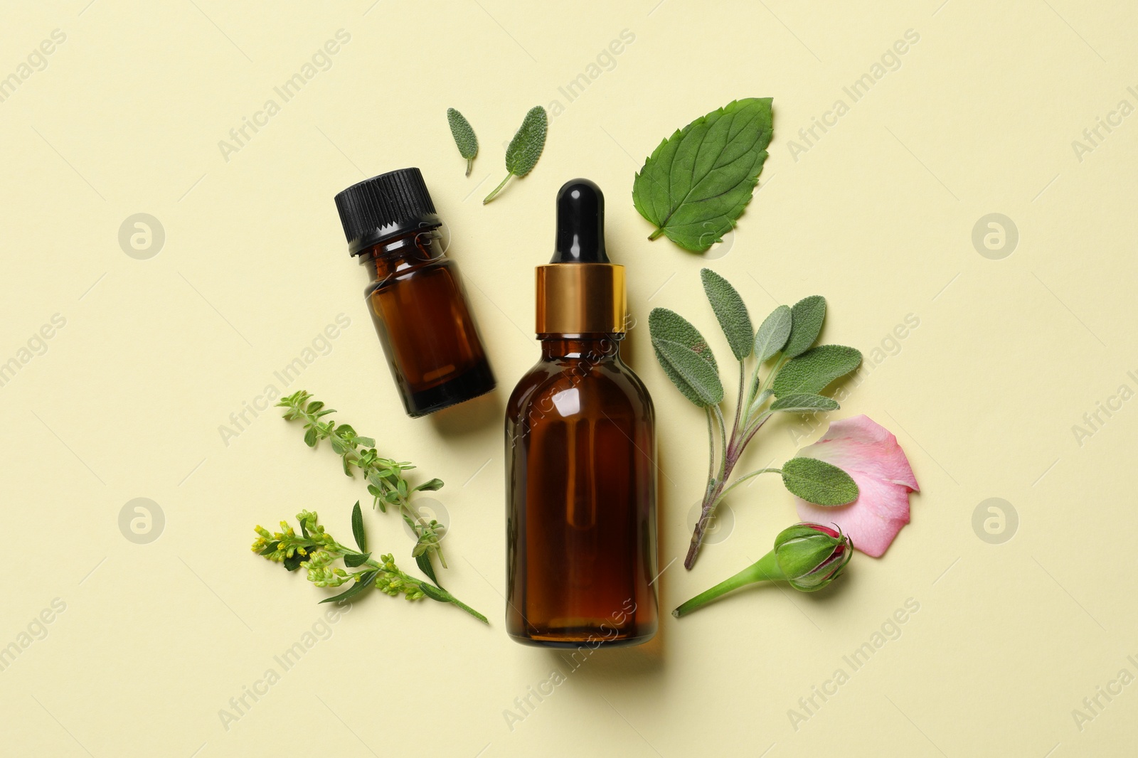 Photo of Bottles of essential oils, different herbs and rose bud on beige background, flat lay