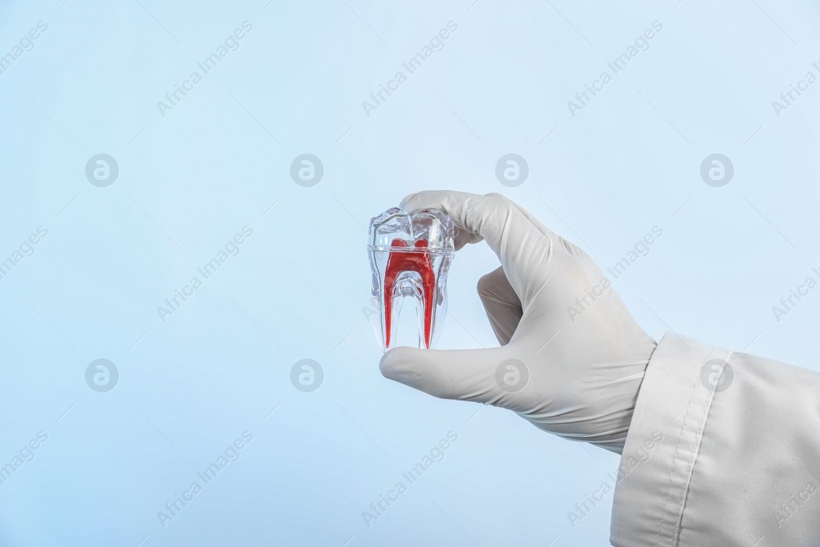 Photo of Dentist holding tooth model on light background, closeup. Space for text