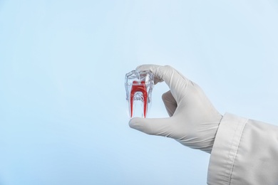 Dentist holding tooth model on light background, closeup. Space for text