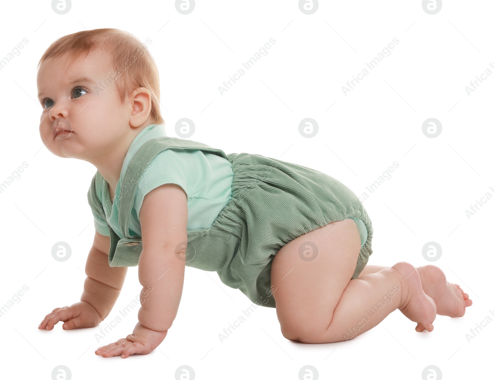 Photo of Cute little baby crawling on white background