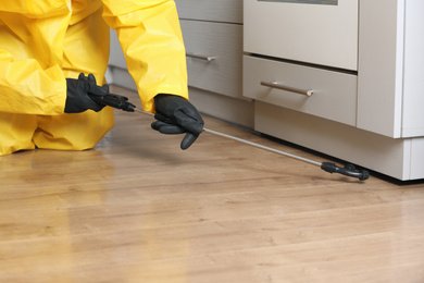 Pest control worker spraying pesticide indoors, closeup