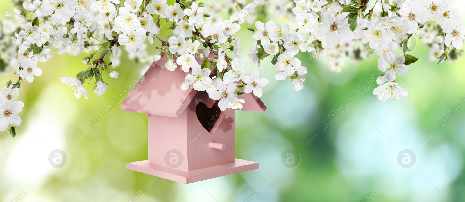 Image of Beautiful wooden bird house hanging on blossoming tree outdoors, banner design. Springtime