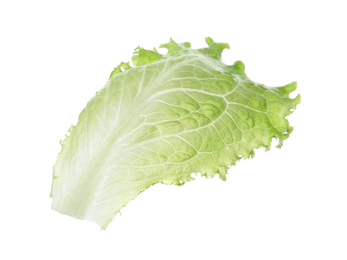 Photo of Leaf of fresh green lettuce isolated on white