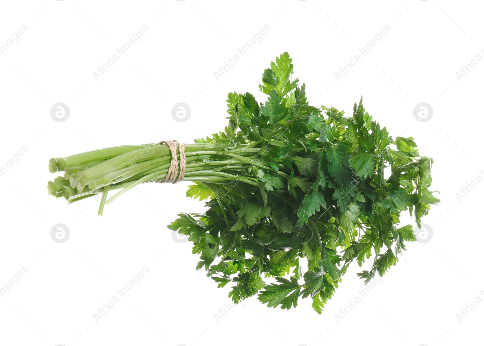 Photo of Bunch of fresh green parsley on white background