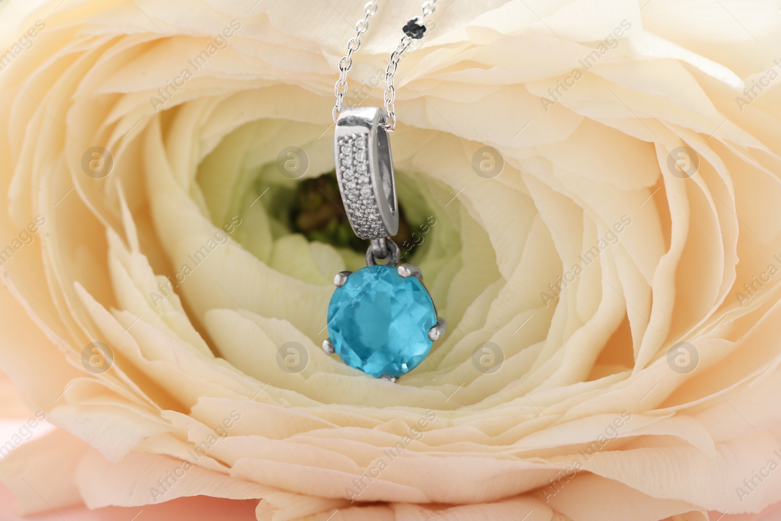 Photo of Beautiful necklace with light blue gemstone on ranunculus flower, closeup. Luxury jewelry