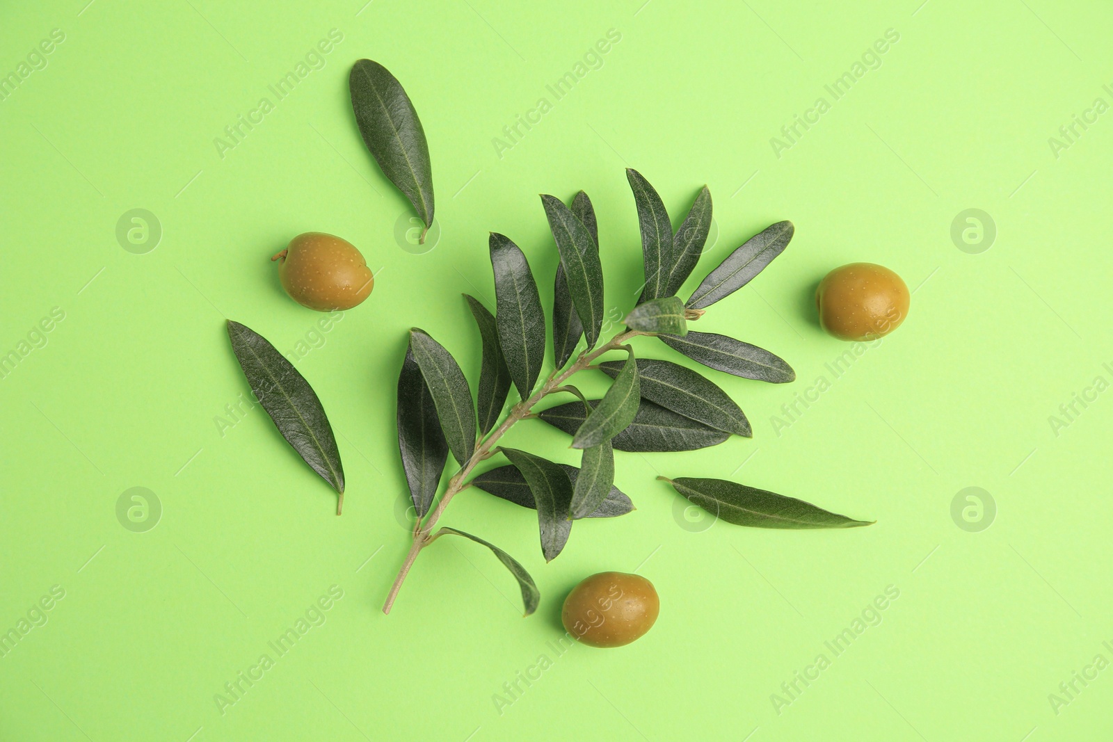 Photo of Fresh olives and leaves on light green background, flat lay