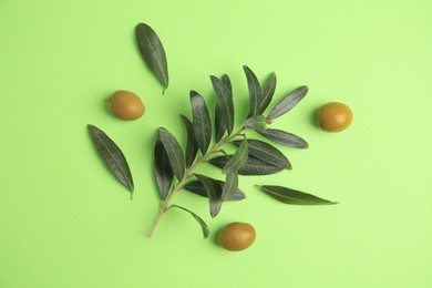 Fresh olives and leaves on light green background, flat lay